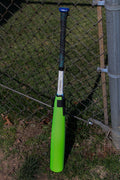 Green Sleeve against fence