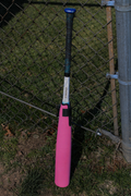 Pink Sleeve against fence